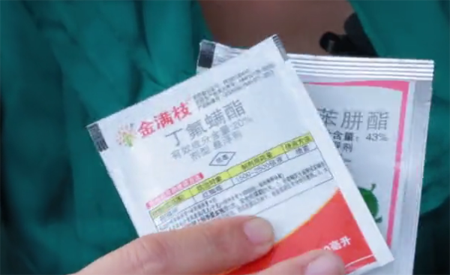 1531136520115178.png 月季常见“黑白红”三种病害如何防治