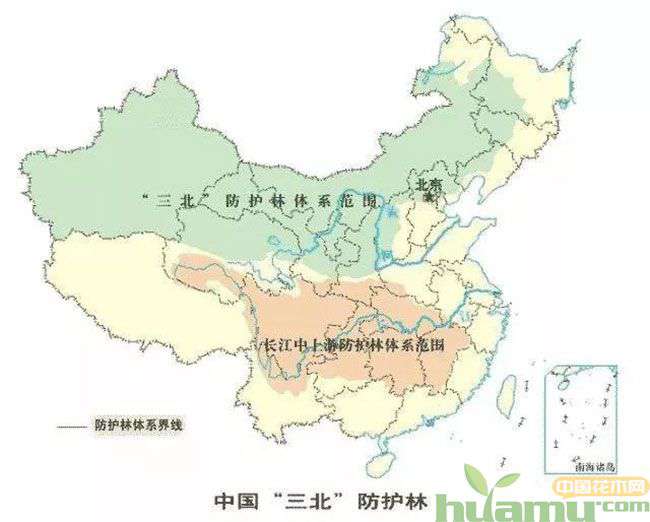 对于苗木行业来说,“三北工程”有什么意义?