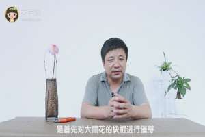大丽花的块茎种植方法
