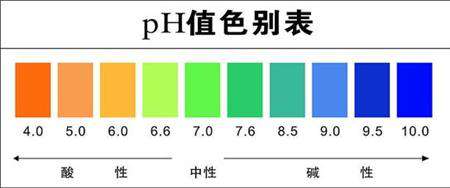 双孢菇栽培管理