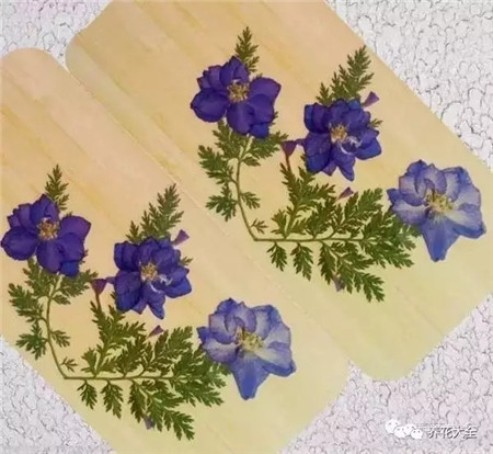 压花 压花