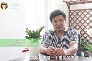 金钱树可以浇啤酒吗