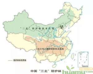 对于苗木行业来说，“三北工程”有什么意义-