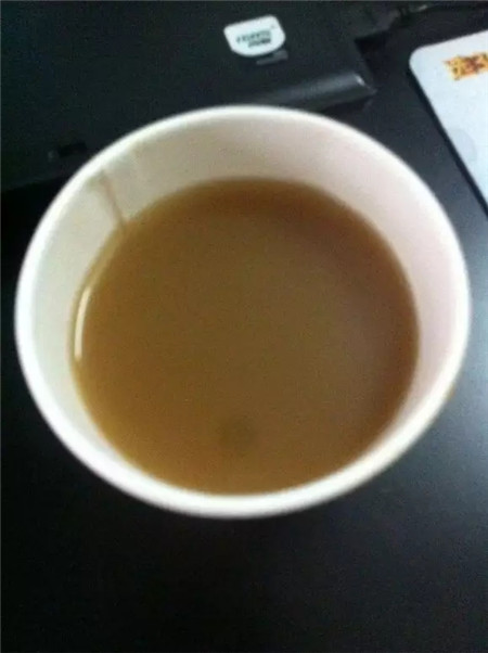 用松针土制作水培营养液 用松针土制作水培营养液