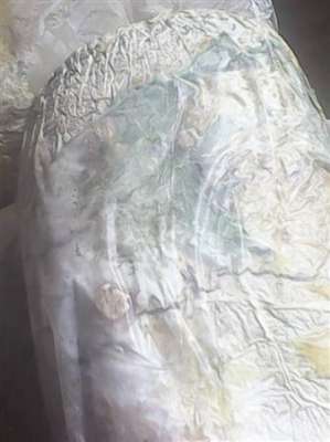 平菇栽培技术：平菇怎么能快速发菌？