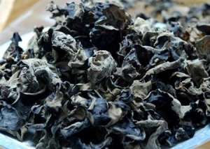 黑木耳种植：黑木耳贮藏怎么防治虫害？