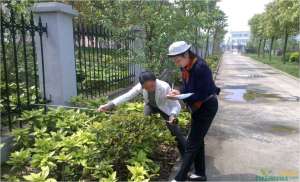 关于绿化工程审计应注意的五个环节