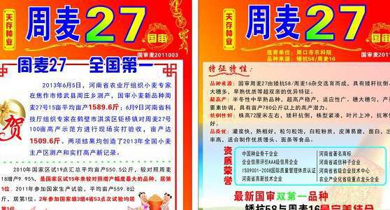 周麦27号小麦品种怎么样?