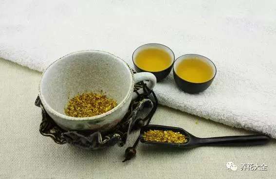 桂花 桂花