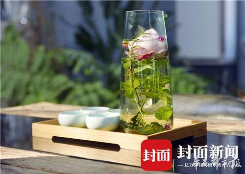 四季玫瑰盛开5.jpg