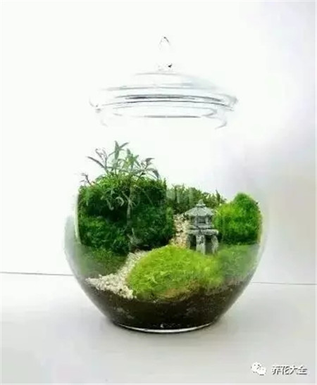 花 花