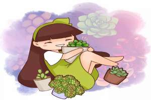 塑料瓶扣多肉上，竟然越长越水灵，10天蹭蹭爆盆！