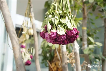 悬挂 悬挂