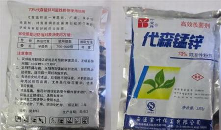 枇杷树有那些病虫害?要怎么防治?