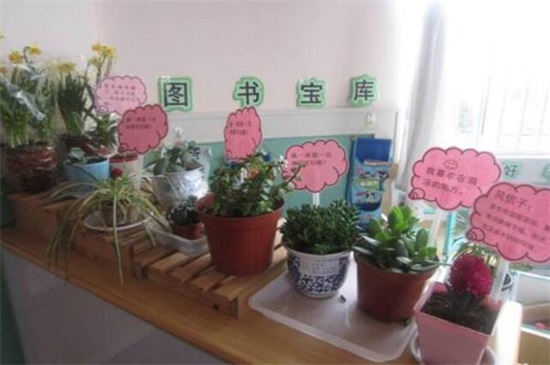 盘点植物角区域规则,6大规则将植物角养的郁郁葱葱
