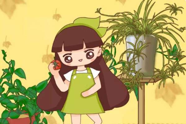 1个西红柿2斤西瓜皮,绿萝猛蹿枝,茉莉爆开80朵! 1个西红柿2斤西瓜皮,绿萝猛蹿枝,茉莉爆开80朵!