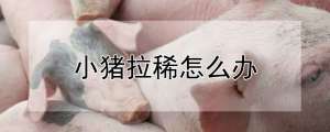 小猪拉稀怎么办_养殖方法