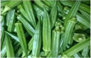 黄秋葵最新种植技术