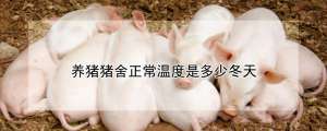 养猪猪舍正常温度是多少冬天_养殖方法