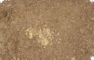 牛粪的用途有哪些？(3)_养殖方法