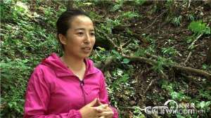 [致富经]张坤：网上卖野人参赢得财富【库百科农业网】