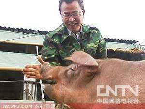 林国忠：养猪奇招频出发猪财 [生财有道]【库百科农业网】