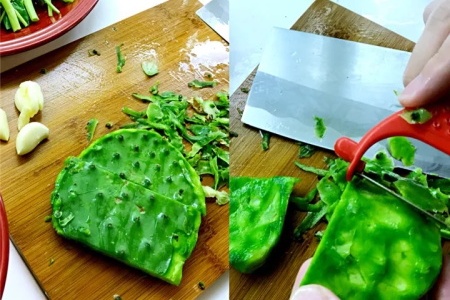 仙人掌是什么植物，仙人掌的用途【库百科农业网】