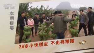 [致富经]梁春：香蕉种植年入5000万元是如何做到的【库百科农业网】