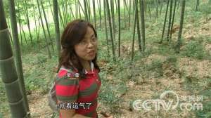 [致富经]常莹：妈妈逼我放弃2000万后种香菇年赚千万【库百科农业网】