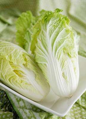 现在大白菜价格怎样？2017—2018年冬储大白菜价格行情预测【库百科农业网】