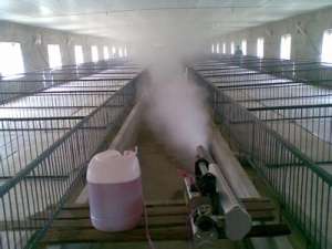 猪舍消毒品草木灰石灰水烧碱漂白粉的配制方法和用法【库百科农业网】