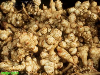 菊芋种植技术【库百科农业网】