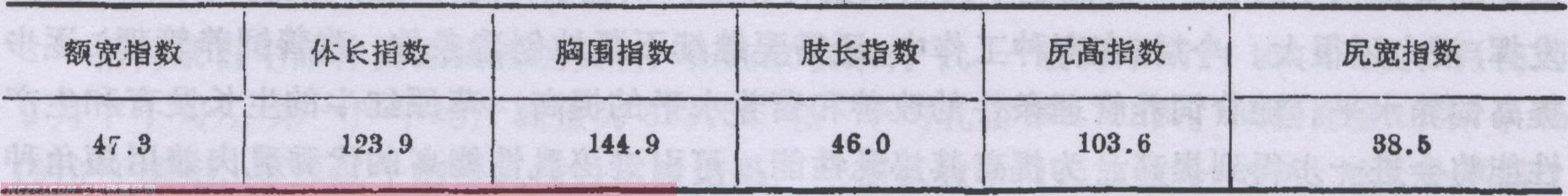 新疆褐牛【库百科农业网】