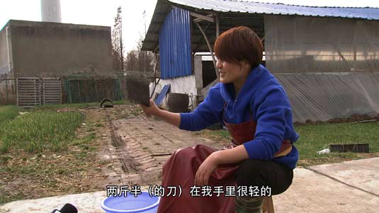 [致富经]凌林：崇明岛会杀羊的女人养羊赚大钱【库百科农业网】