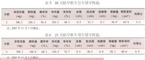 早胜牛【库百科农业网】