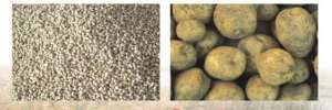 螃蟹饲料用土豆制作【库百科农业网】