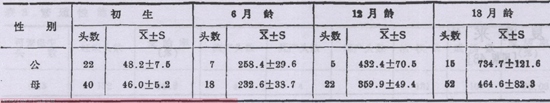 夏洛来牛【库百科农业网】