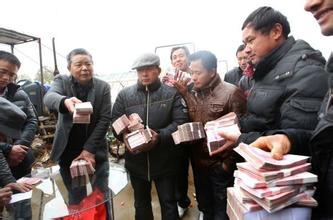 凌继河：创建江西绿能农业公司，规模种田也能致富【库百科农业网】