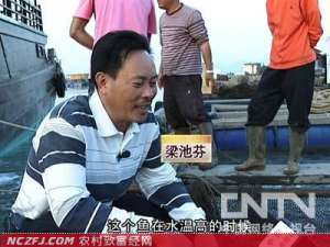 梁池芬网箱养鱼-包公鱼带来的意外财富[致富经]【库百科农业网】