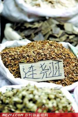 药材种植前景有风险也有，怎么办？【库百科农业网】
