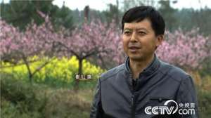 [致富经]崔红旗：养蜂卖蜂蜜一年能赚上百万元【库百科农业网】