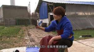 [致富经]凌林：崇明岛会杀羊的女人养羊赚大钱【库百科农业网】