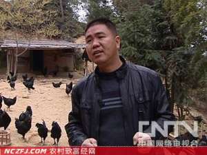 [致富经]刘志军当村主任养的故事【库百科农业网】