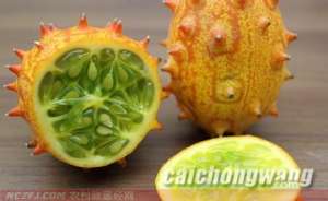 火参果种植：长刺儿