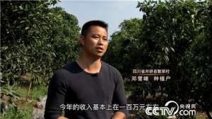 [致富经]范敬超：从500棵柑橘树起步到2万亩柑橘园【库百科农业网】