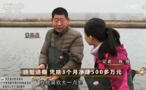 [致富经]张治兵-如何盖大棚养螃蟹，短短3个月迅速赚大钱【库百科农业网】