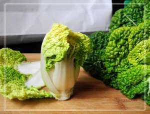 迷你白菜的种植技术[农广天地]【库百科农业网】