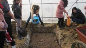 平菇稻草阳畦栽培技术【库百科农业网】