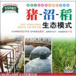 猪沼稻生态模式种养技术 [农广天地]【库百科农业网】