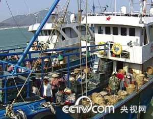 增值的拥剑梭子蟹【库百科农业网】